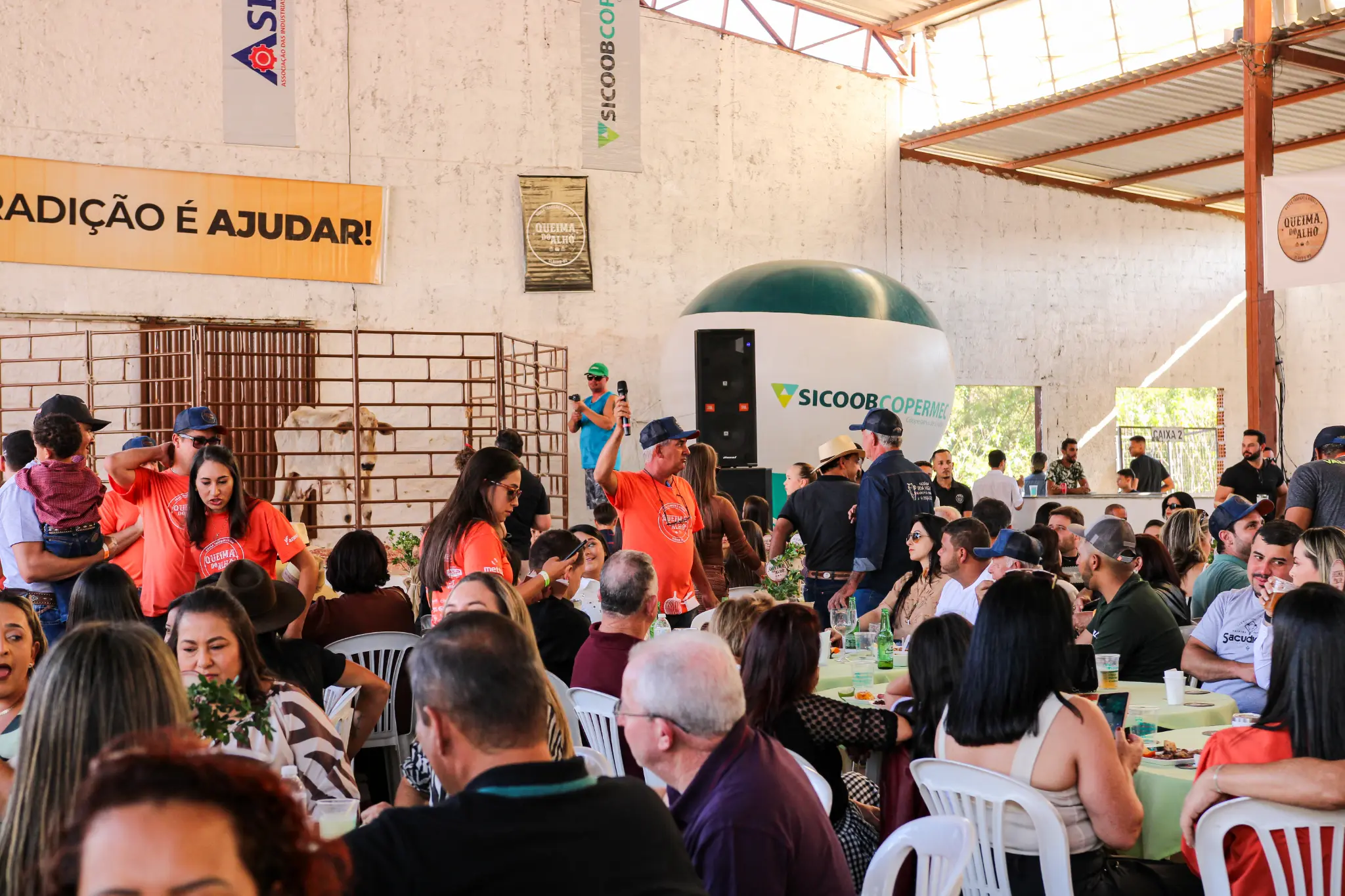 Galeria Queima do Alho 8